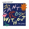 Can't Do Without (My Baby) - Single