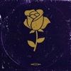 Dozen Roses - Single, 2023
