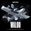 Walou by Brysa iTunes Track 1