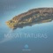 Clear Water - Marat Taturas lyrics