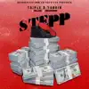 Stepp (feat. Mr. Lucci) - Single album lyrics, reviews, download
