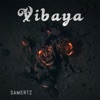 Vibaya - Single