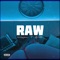 Raw (feat. KTP Kidd) artwork