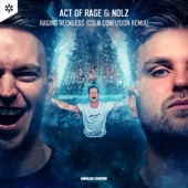 Raging Reckless (Cold Confusion Remix) artwork