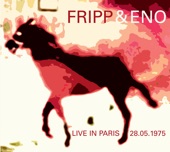 Live in Paris 28.05.1975 artwork