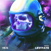 Levitate artwork