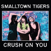 Smalltown Tigers - Killed Myself When I Was Young
