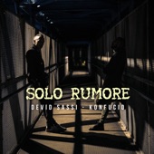 Solo Rumore artwork