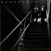 Picture In the Dark - Single