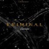 Muzika Kriminal - Single