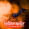 Velociraptor - Single