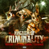 Kingdom of Criminality artwork