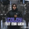 Tut mir weh - Single