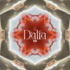 Dalia - Single