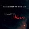 Llevarte A Marte (feat. Young Erak) - Young Diablo 69 lyrics