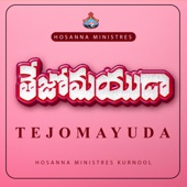 Naa Hrudayamulo artwork