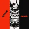 David (feat. MR24) - Single album lyrics, reviews, download