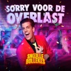 Sorry Voor De Overlast - Single
