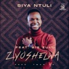 Zyoshelwa (feat. Big Zulu) - Single