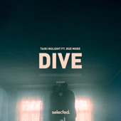 Dive by Taiki Nulight