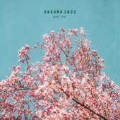 Sakura 2022 artwork