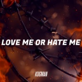 Love Me or Hate Me artwork