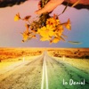 In Denial - Single, 2023