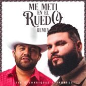 Me Metí en el Ruedo (Remix) artwork