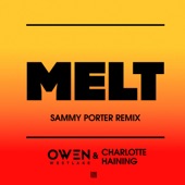 Melt (Sammy Porter Extended Remix) artwork