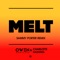 Melt (Sammy Porter Extended Remix) artwork
