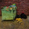 Dumpster Lemons - Single