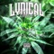 Smoke Some Weed (feat. J Romero) - Lyrical Mindz lyrics