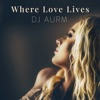 Where Love Lives - Single