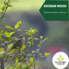 Emsnan Wood - 2020 Nature Music Collection album lyrics, reviews, download