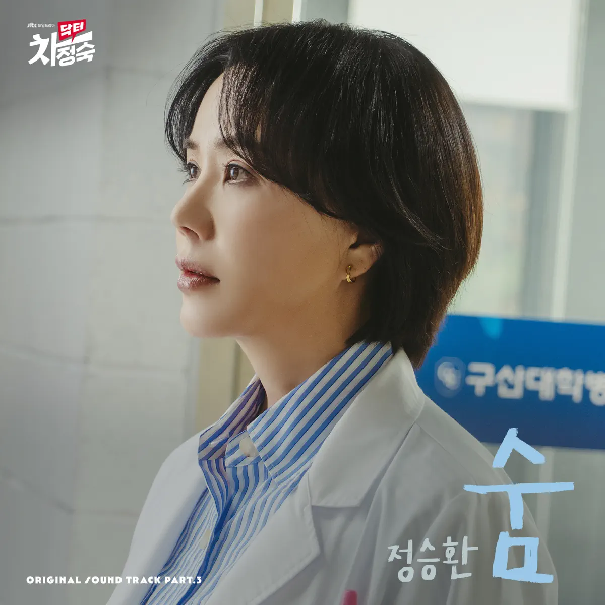 Jung Seung Hwan - Doctor Cha (Original Television Soundtrack) Pt. 3 - Single (2023) [iTunes Plus AAC M4A]-新房子