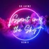 Spirit in the Sky (Dr Jaymz Remix) - Single