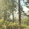 Kina Grannis - Yellow