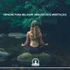 Hipnose para Relaxar, Bem - Estar e Meditação album lyrics, reviews, download
