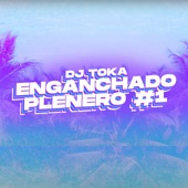 Enganchado Plenero #1 (feat. La Deskarga, La Sandonga, Mariano Bermudez, Marito Davila & Favio Donoban) artwork