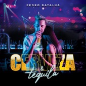 Cerveza & Tequila artwork