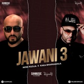 Jawani 3 artwork