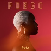 Pongo - Chora