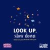 Look Up, Slow Down - Single