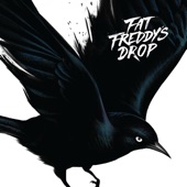 Fat Freddy's Drop - Clean the House