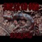 Last Laugh - Bayou lyrics