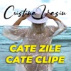 Cate Zile, Cate Clipe - Single