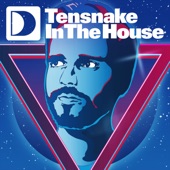 Defected Presents Tensnake In The House (DJ Mix) artwork