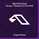 Shadows On The Wall (feat. Megan Morrison) [16BL Mix] artwork