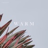 Warm - Single