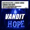 Stream & download Aiming For Hope (Not All Superheroes Wear Capes 2022 Extended Vocal Mix) - Single